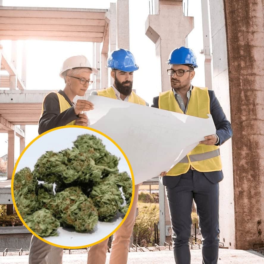 Cannabis kan vara lösningen på bostadsbristen