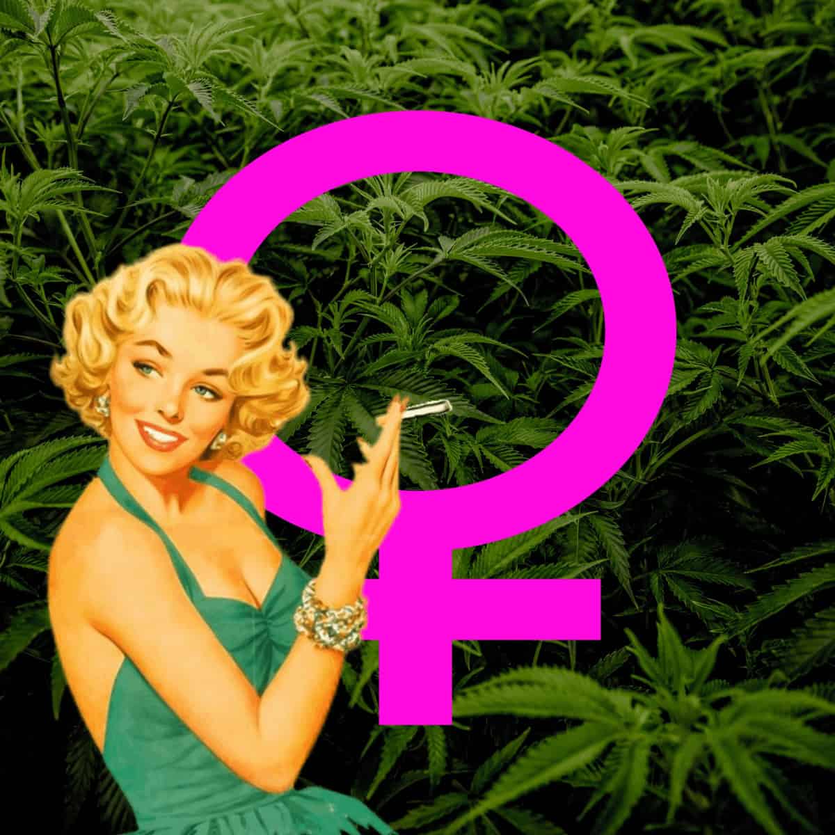 Framtiden är feminin