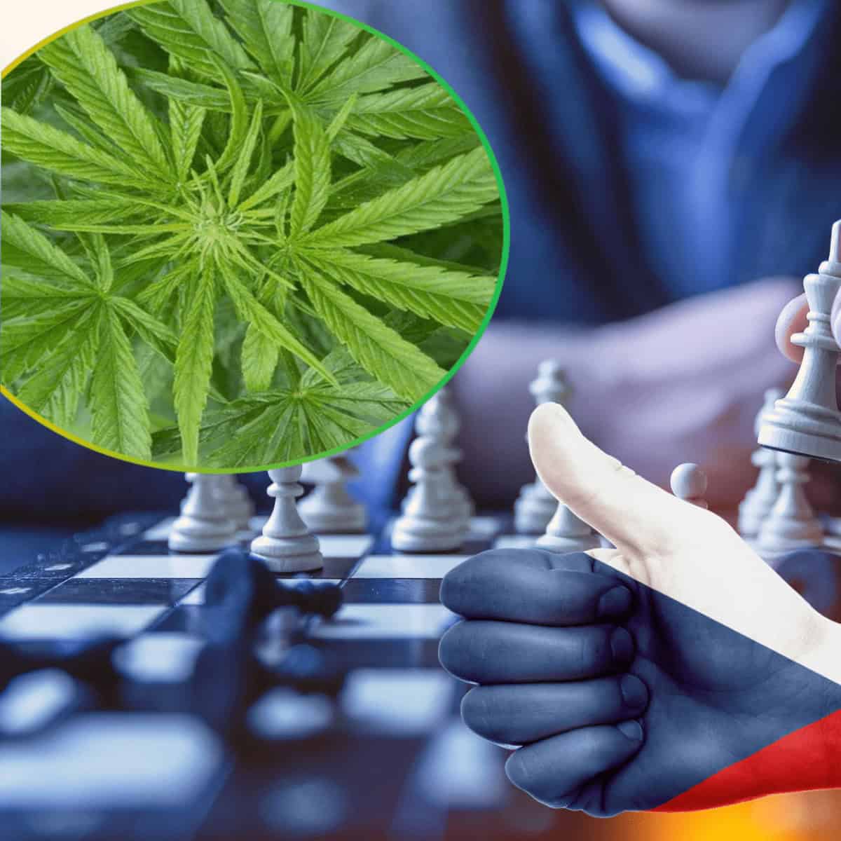 Tjeckien – Ännu en spelare i slaget om EU