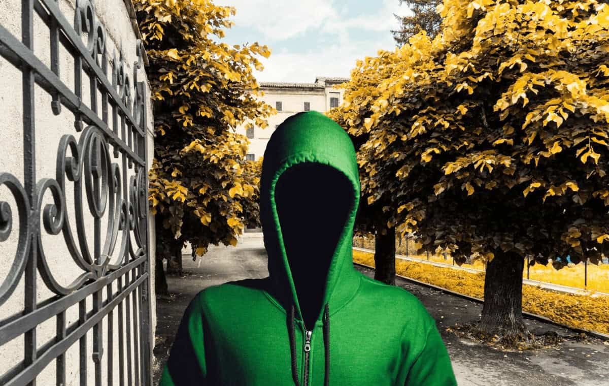 Michael – Min första svenska odling