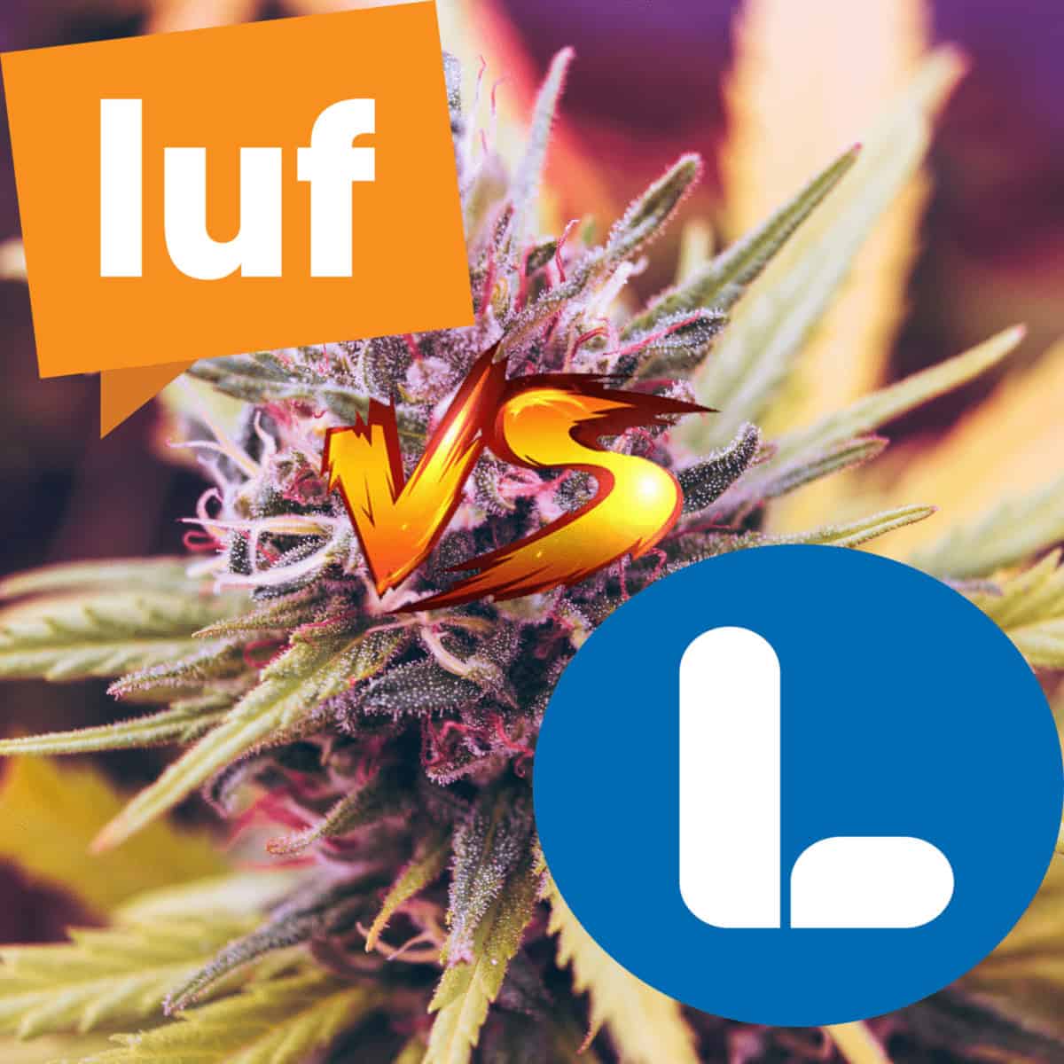 Ett delat liberalt parti i kris