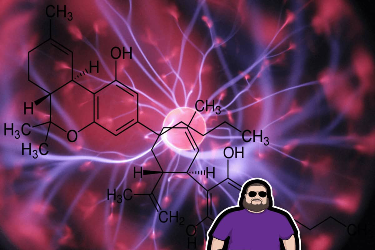 Endocannabinoida systemet – En förenkling