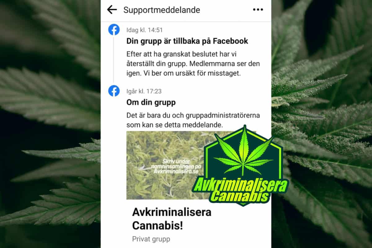 AKC är tillbaka