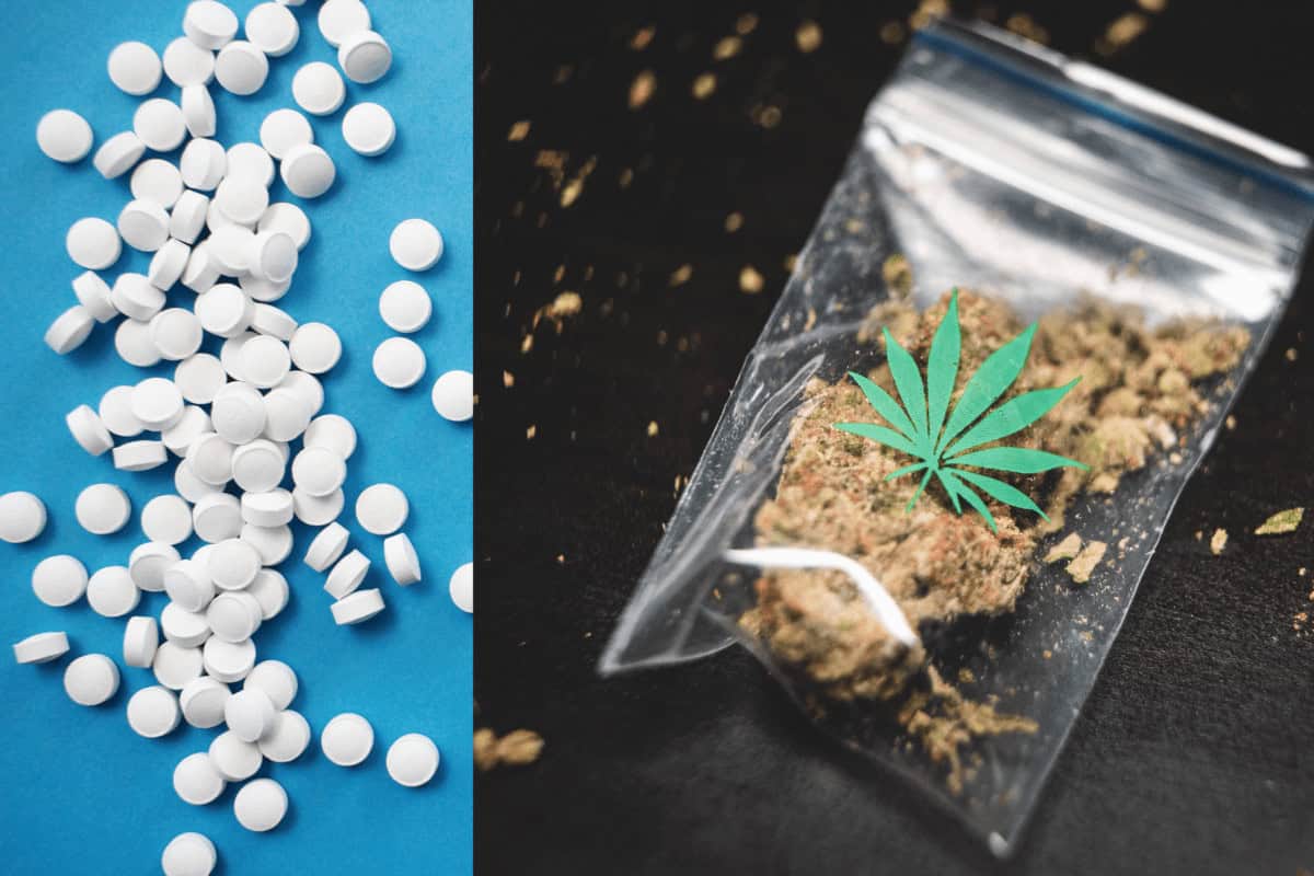 Cannabis vs Opiater, Benso och alkohol
