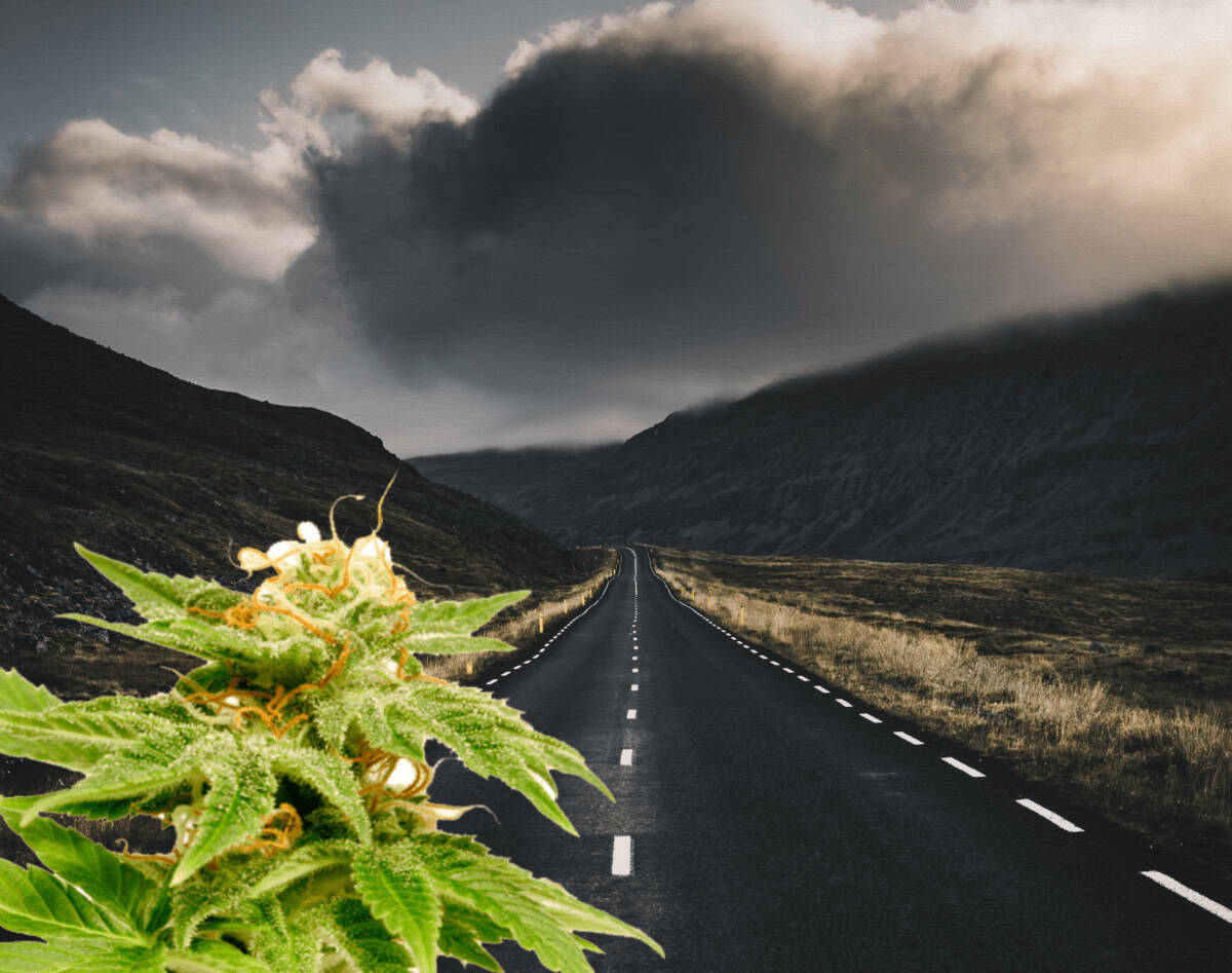 Orkanen Ida orsakar oreda i Louisiana