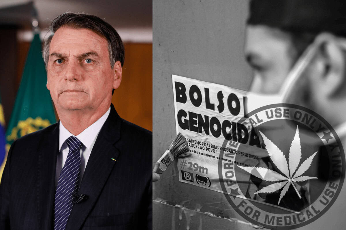 Bolsonaro vs medicinsk cannabis