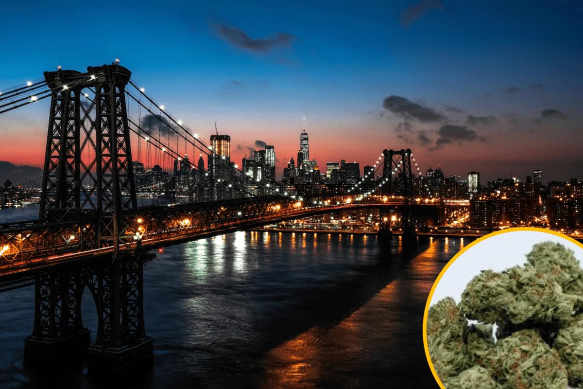 Cannabis i New York – Vilka effekter kan vi se?