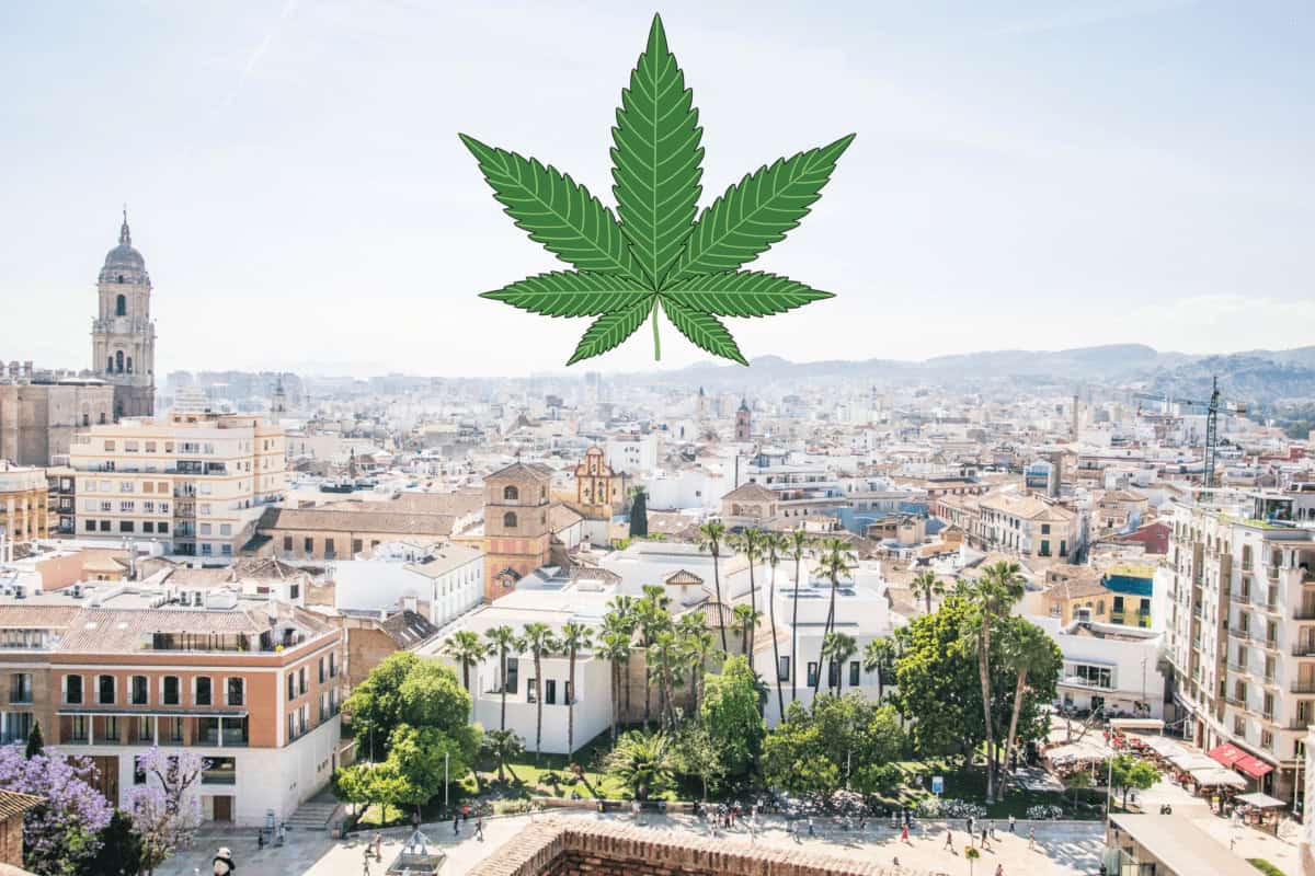 Malaga- En stoners manual till Cannabis social clubs