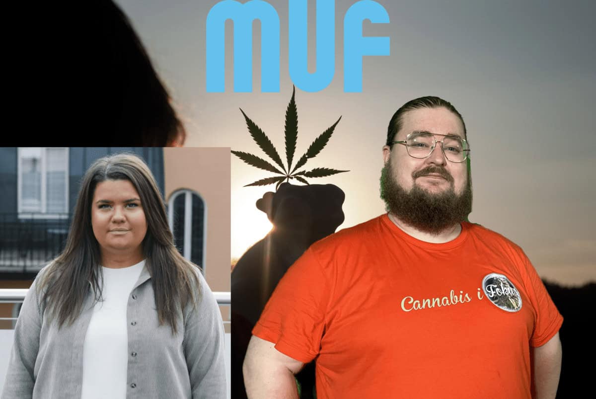 Moderaternas ungdomsförbund vill nu legalisera cannabis