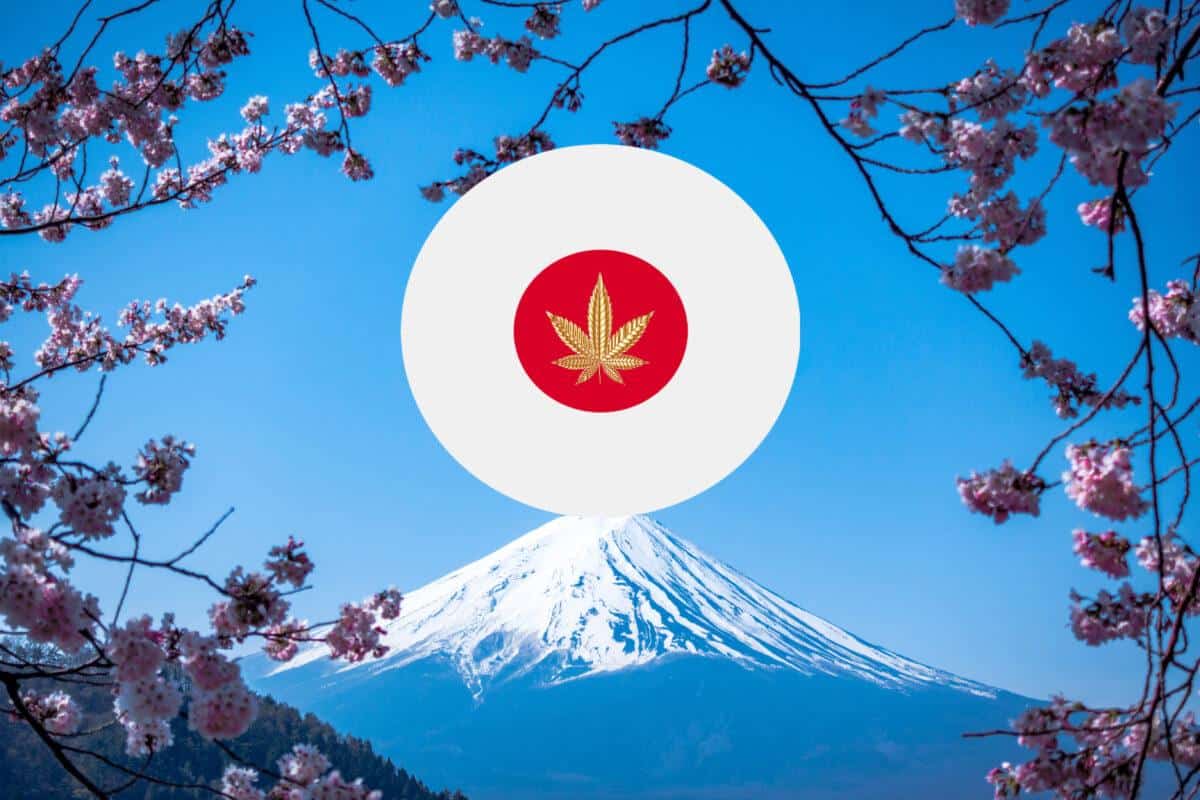 Japan förblir hårda mot cannabis när andra nationer rör sig mot en legalisering.
