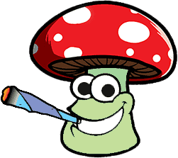 Sveriges största forum för drogförsäljning stänger ner