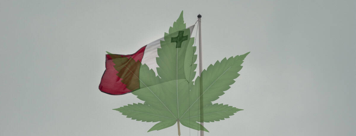 Efter cannabis vill malteserna legalisera svamp