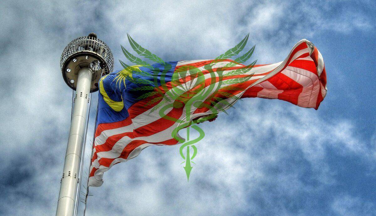 Malaysiska tjänstemän säger att gräs nu är lagligt för ”medicinska och vetenskapliga” ändamål