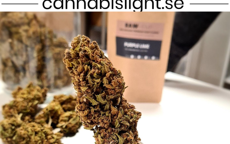 Cannabislight – Ett CBD företag i Sverige