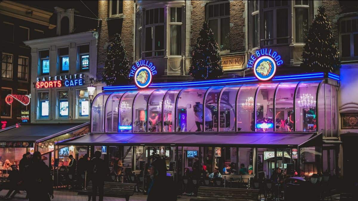 Redaktionen expanderar, Youtubekanalen växer och snart åker vi till Amsterdam!