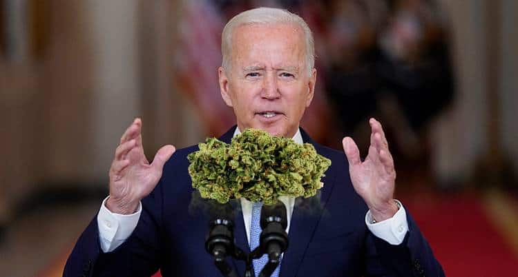 Marylands väljare älskar lagligt gräs mer än de älskar Joe Biden, enligt en undersökning