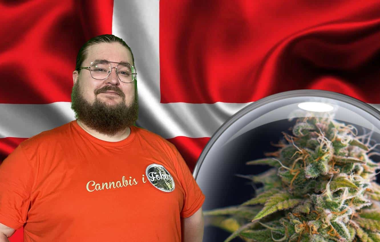 Laglig cannabis i Danmark på prov i 5 år