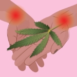 Cannabis ”visar sig lovande” som behandling av fibromyalgi, enligt en studie