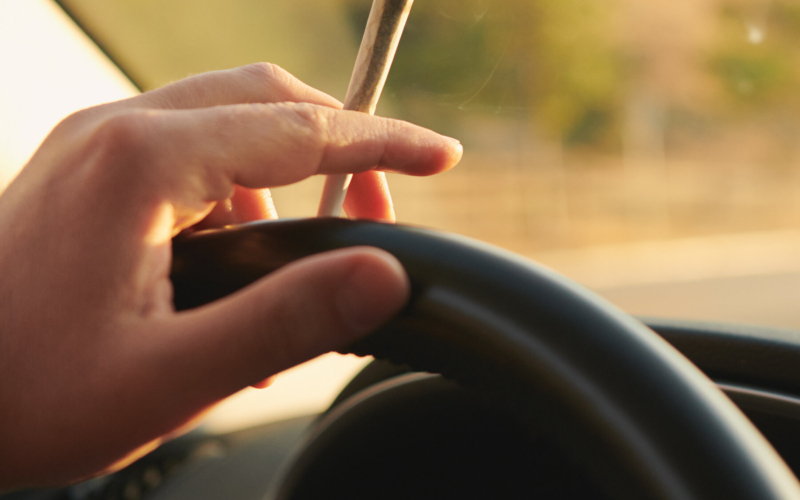 Legalisering av medicinsk cannabis leder till mindre rattfylleri och säkrare vägar.