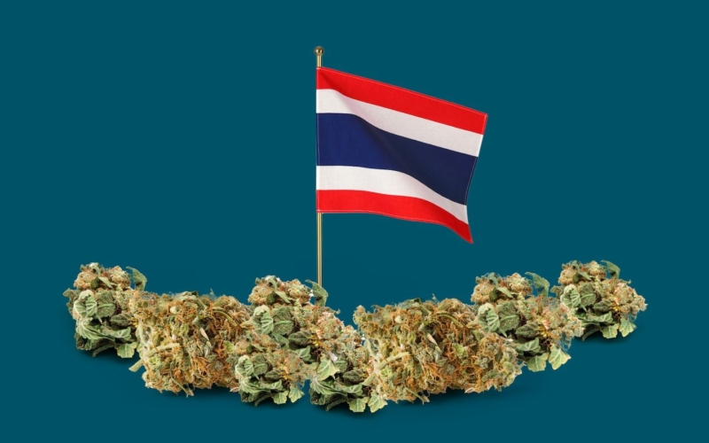 Majoriteten av medborgare i Thailand stödjer legaliseringen av cannabis