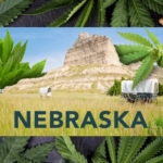 Domstolsbeslut om röstningsåtgärder förenklar legaliseringen av cannabis i Nebraska