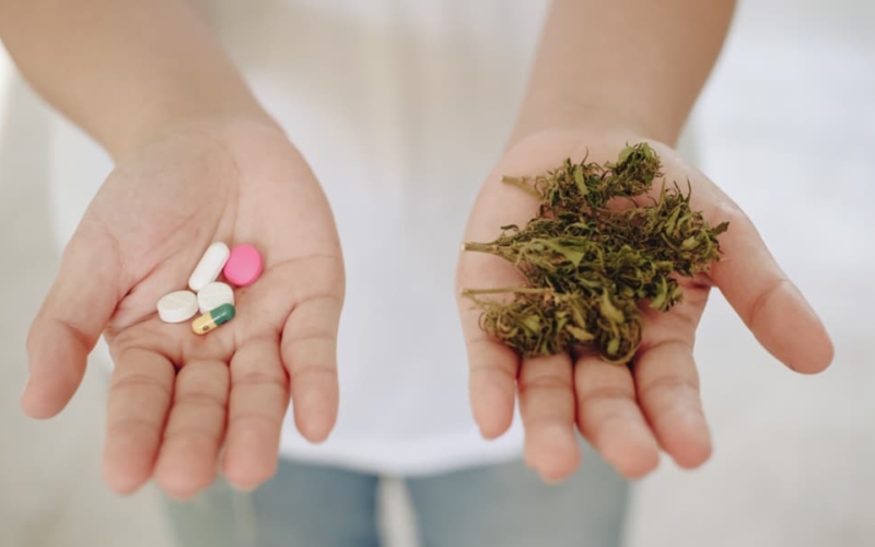 Patienter i Kanada använder mindre opioider efter att ha fått medicinsk cannabis