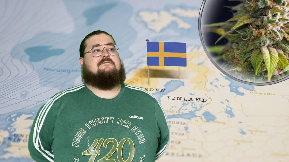 Hur och varför vi legaliserar cannabis i Sverige!