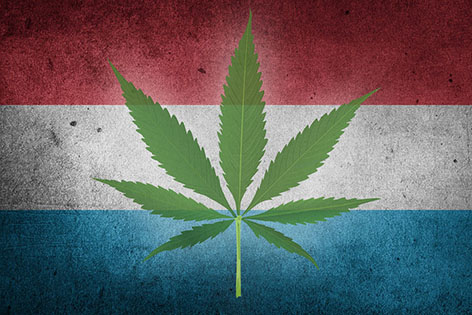 Stormöte mellan Nederländerna, Luxemburg, Malta och Tyskland om rekreationell cannabis inom EU