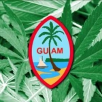 Guam kommer att ta emot licensansökningar för rekreationell cannabis nästa månad