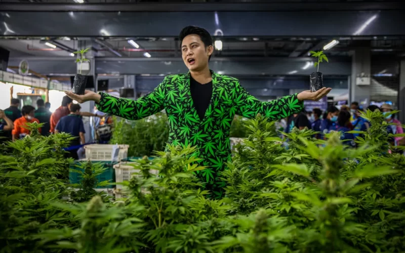 Thailand lanserar sina första cannabiscaféer för fritidsbruk