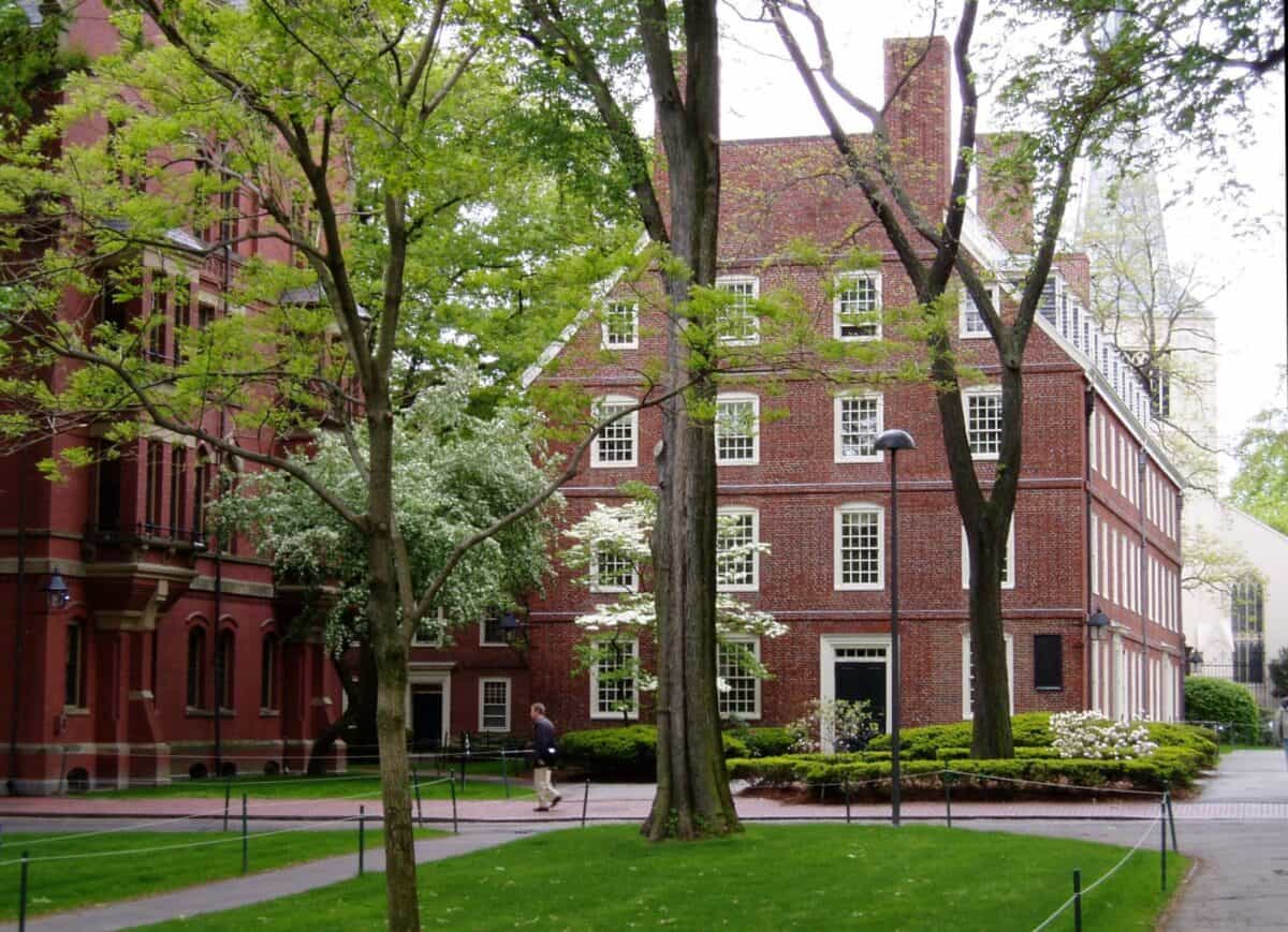 Massachusetts College samarbetar med Green Flower om kurser i cannabisutbildning