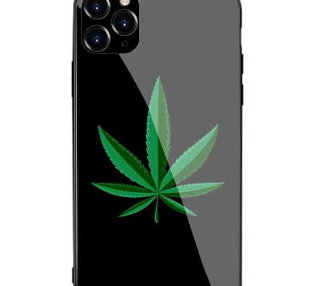 iPhone-uppdatering låter användare söka efter interaktioner mellan receptbelagda läkemedel och cannabis