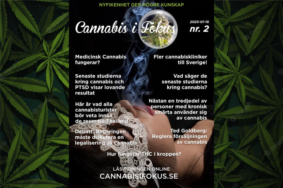 Cannabis i fokus #2 2023
