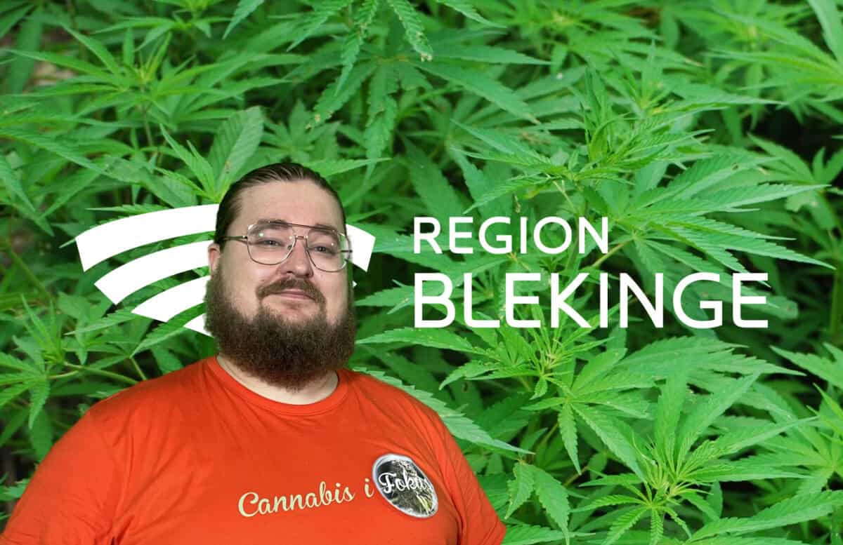 Region Blekinge ändrar riktning, cannabis före opioider!
