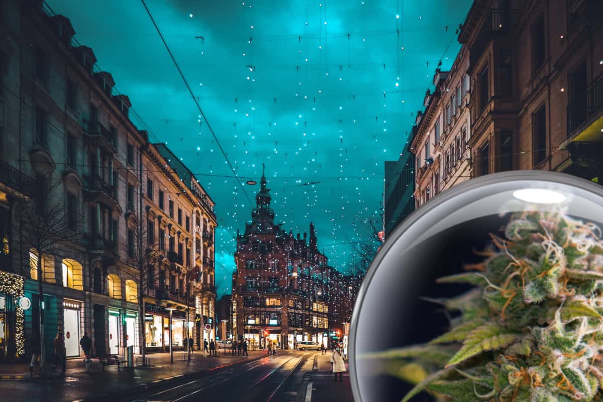 Zürich kommer att legalisera cannabis för rekreations bruk i ett pilotprojekt