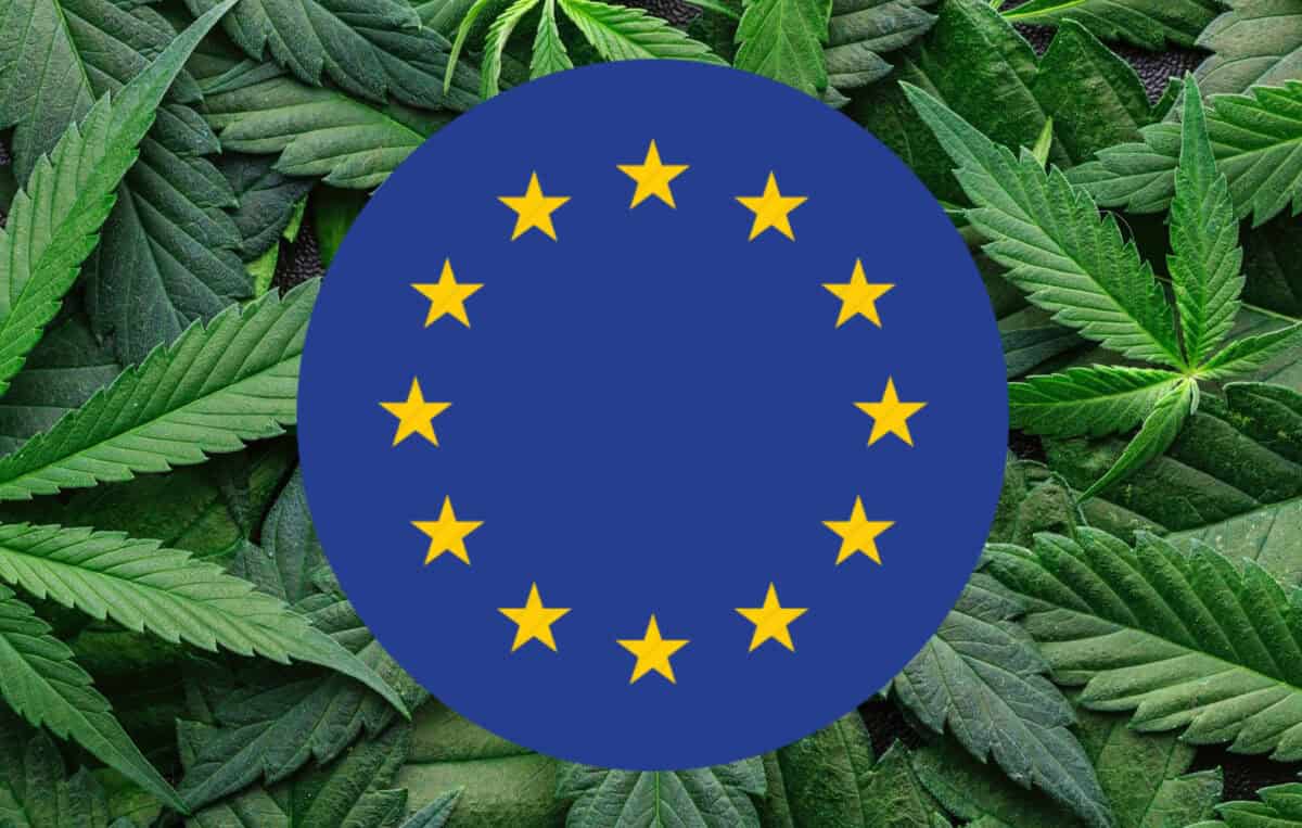 Cannabis är den vanligast konsumerade drogen i Europa – European Drug Report