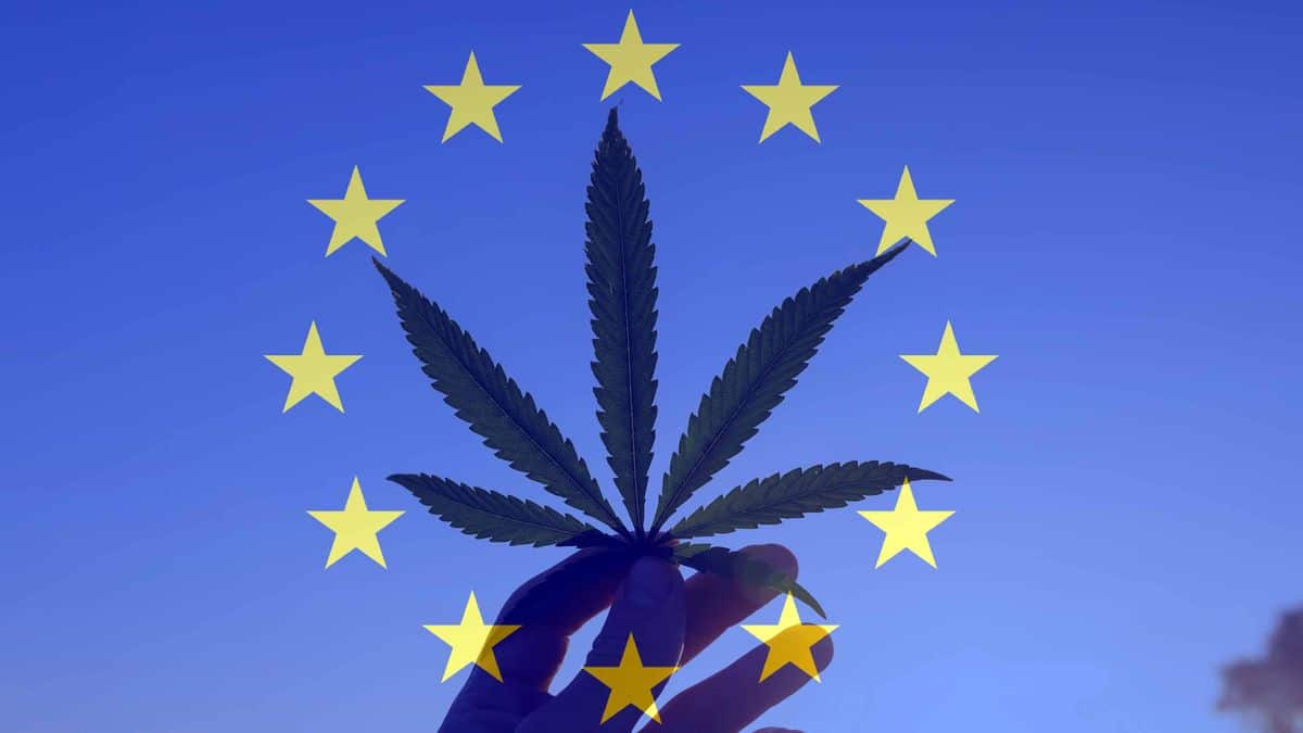 Tysk cannabislegalisering kan få andra europeiska länder att följa efter, inkluderade Storbritannien