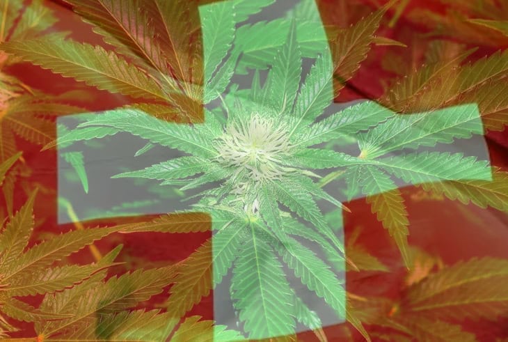 Schweiziska Dank-konton: De första lagliga europeiska cannabisautomaterna öppnar i Schweiz