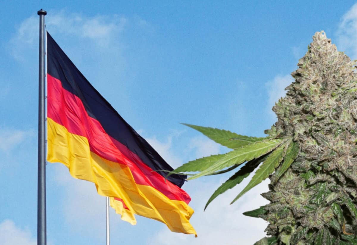 Tyskland värd för tjänstemän från USA och andra länder för marijuanaforum om skapande av internationella politiska ramar