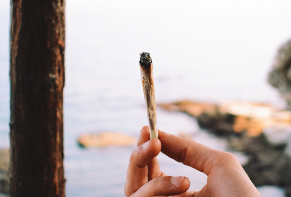 Regleringen av cannabisanvändning uppmuntrar inte nya användare, säger Leonid McKay