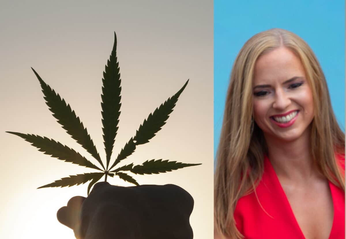 Kristdemokratiskt Kaoz!