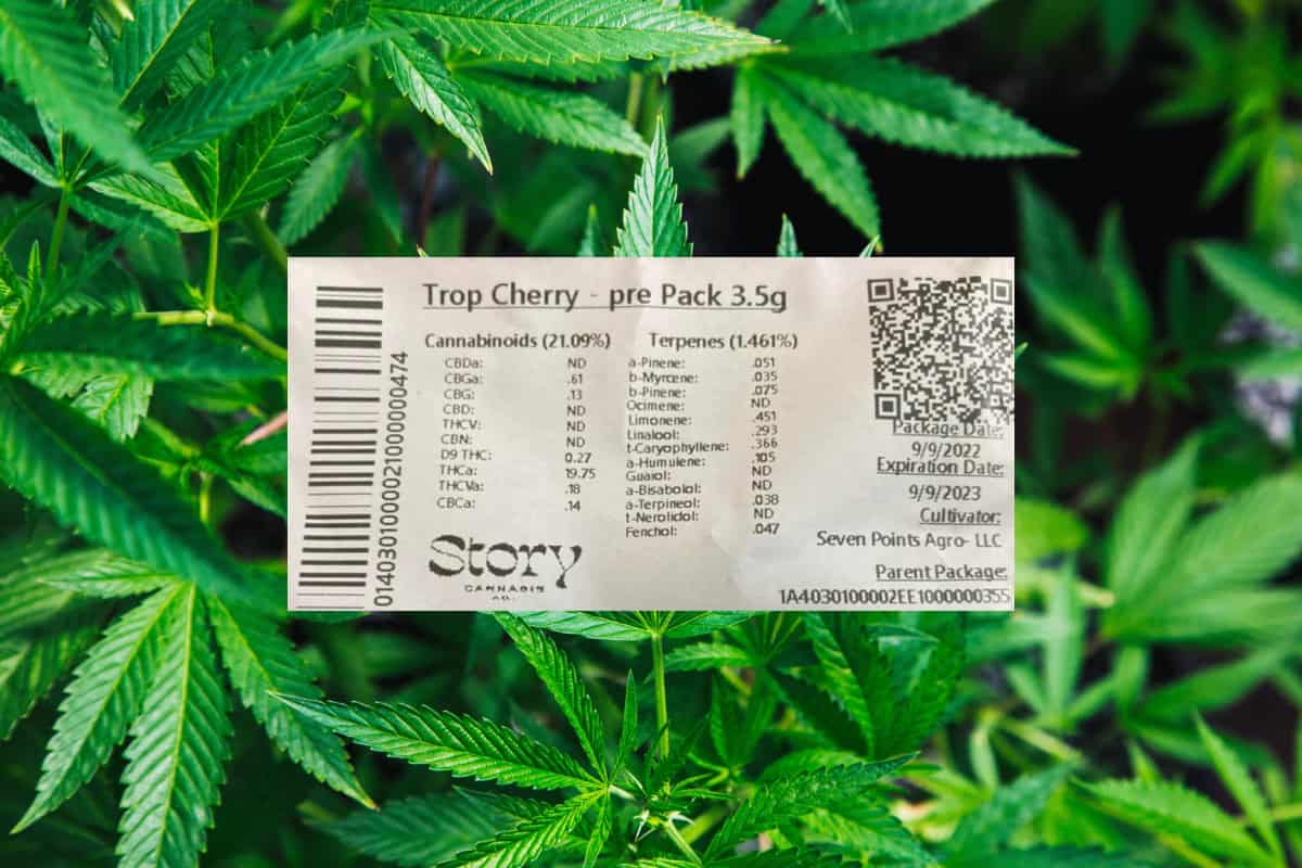 RFID-spårning + cannabis = ?