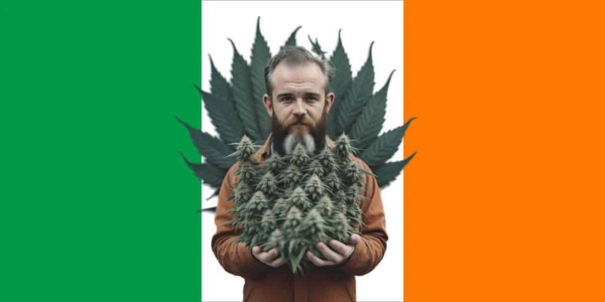 Irlands regering godkänner en nio månaders fördröjning av omröstningen om legalisering av cannabis