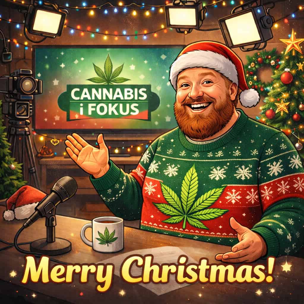 God jul! Ett eftertänksamt bokslut av cannabisåret 2025