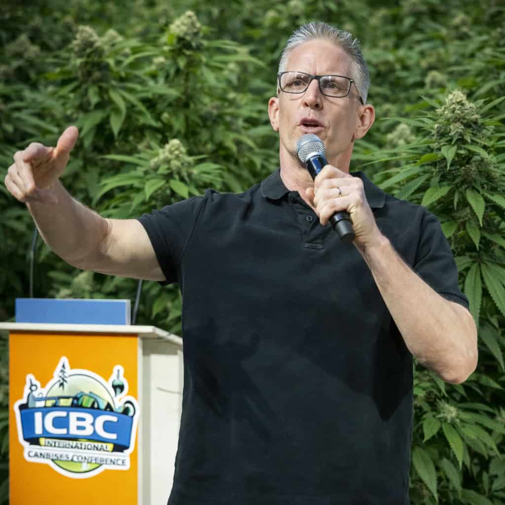 Europa har en unik chans att legalisera ordentligt